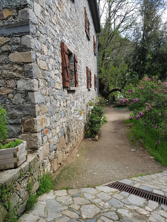 Chambre D'Hote "Chez Antoinette Et Charles" Santo-Pietro-di-Venaco Εξωτερικό φωτογραφία
